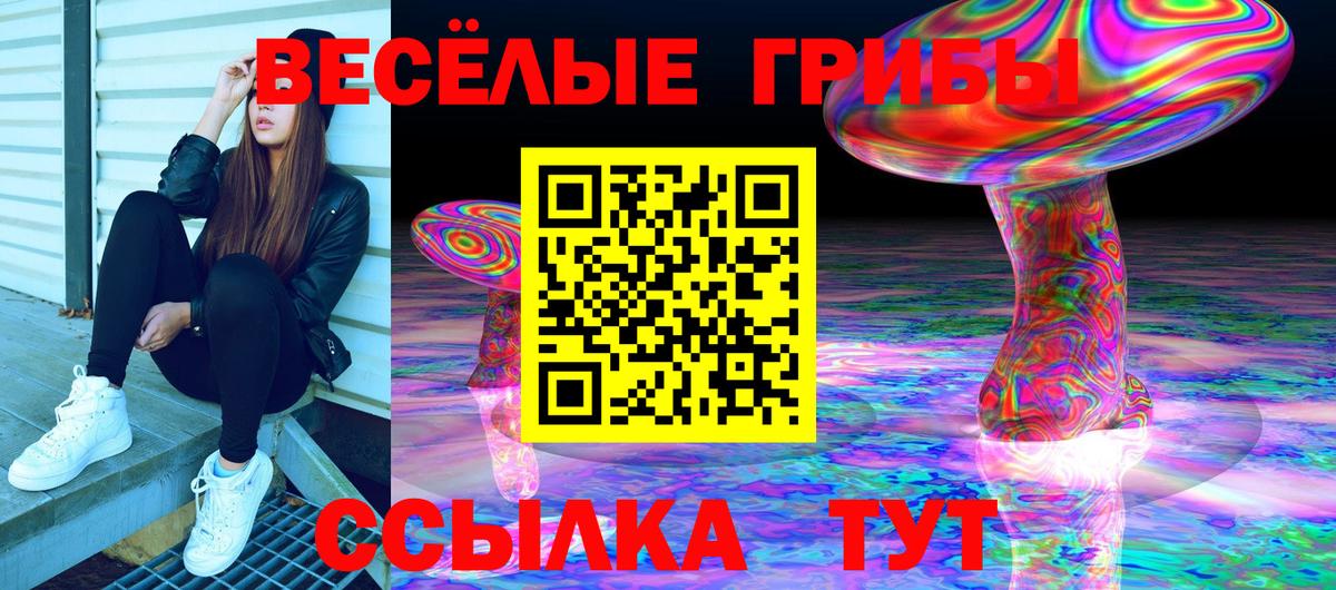 Псилоцибиновые грибы мухоморы  Галлюциногенные грибы мицелий  Вход с VPN  Янаул 